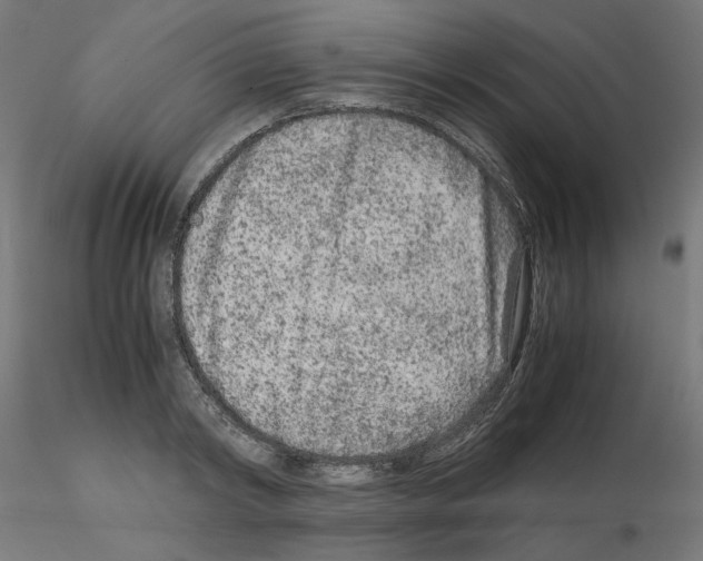 X0000115540798200912181527