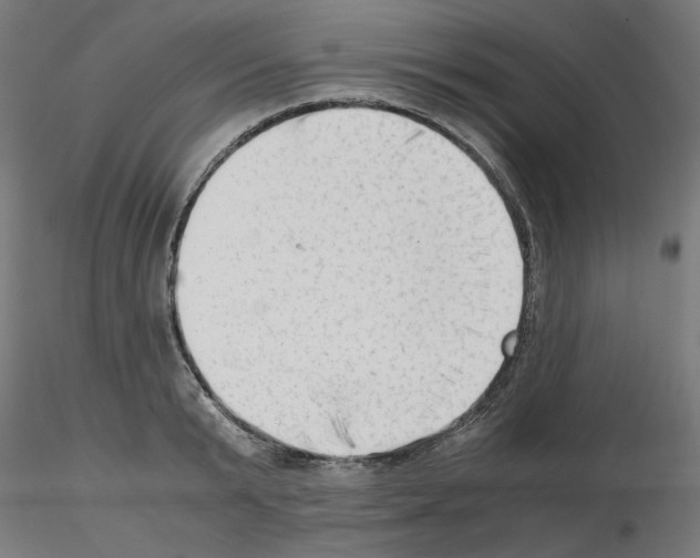 X0000115540799200912181527
