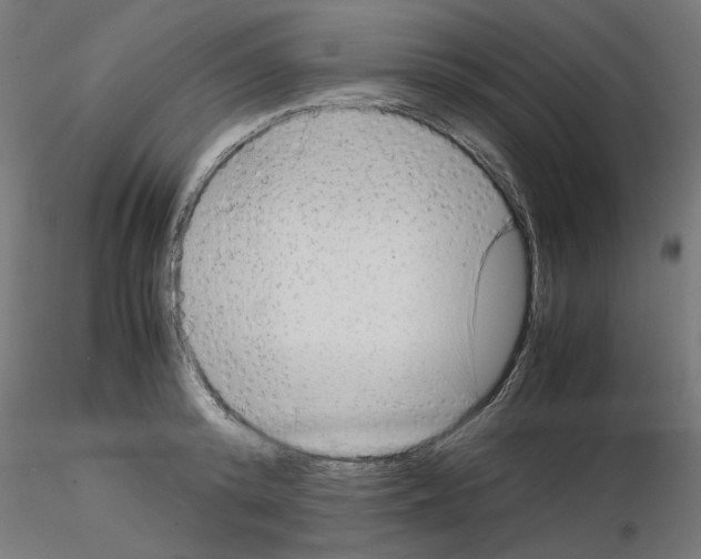 X0000115540800200912181527