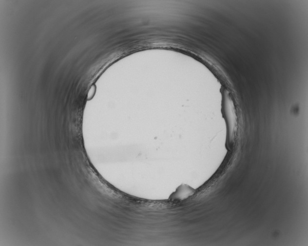 X0000115540801200912181527