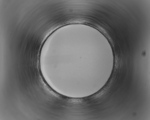 X0000115540802200912181527