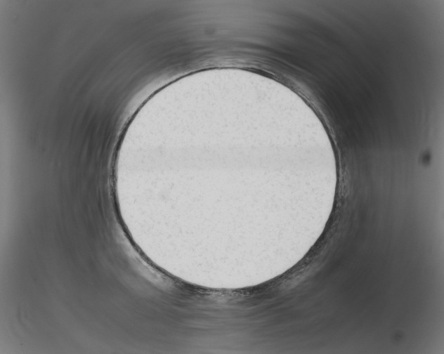 X0000115540803200912181527