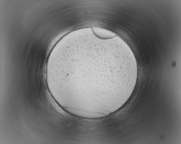 X0000115540804200912181527