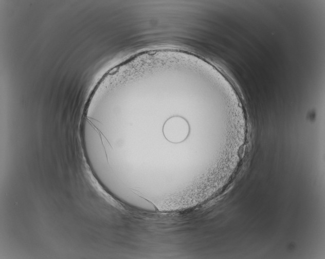 X0000115540805200912181527