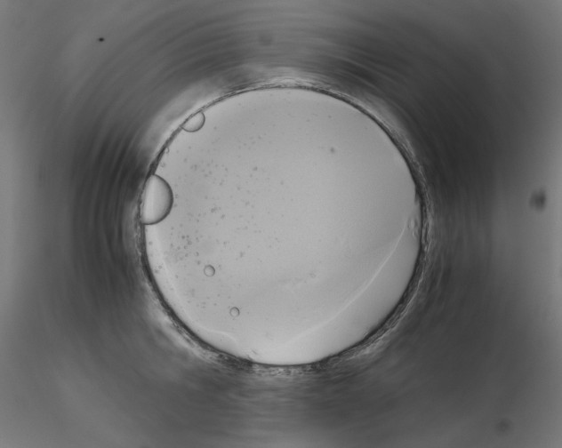 X0000115540806200912181527