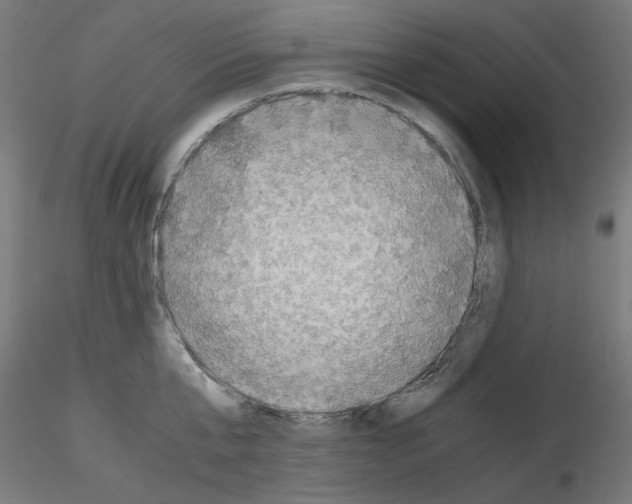X0000115540807200912181527