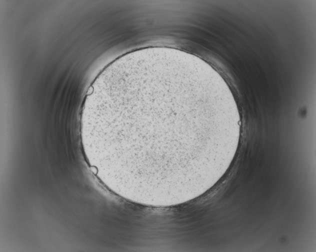 X0000115540808200912181527