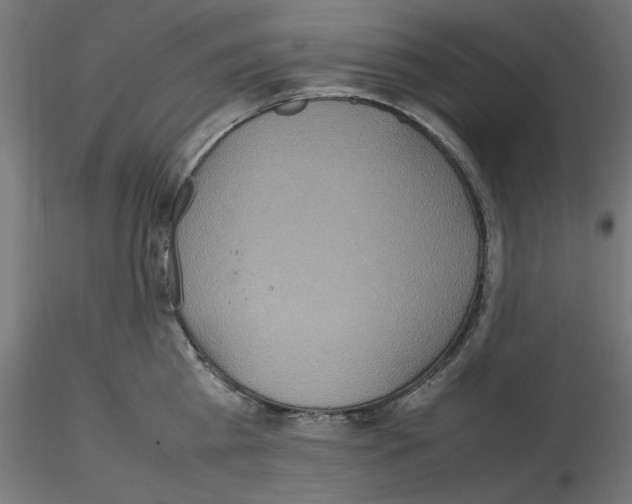 X0000115540809200912181527