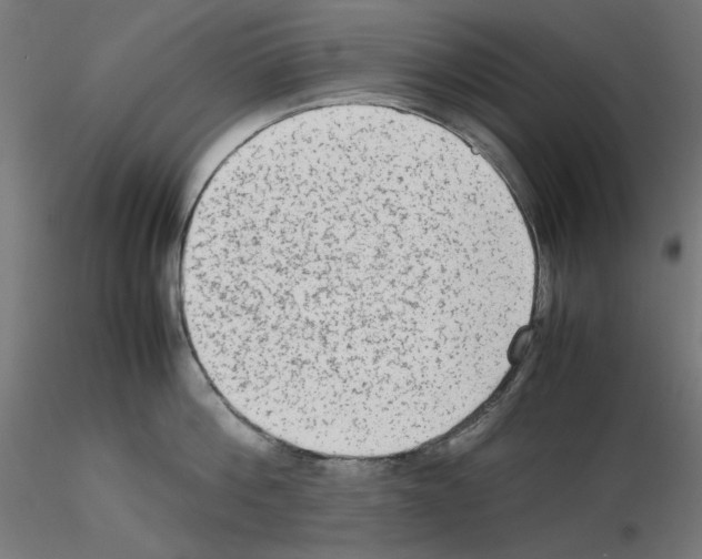 X0000115540812200912181527
