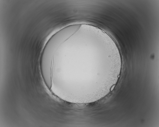 X0000115540813200912181527