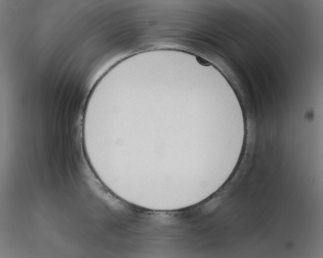 X0000115540814200912181527