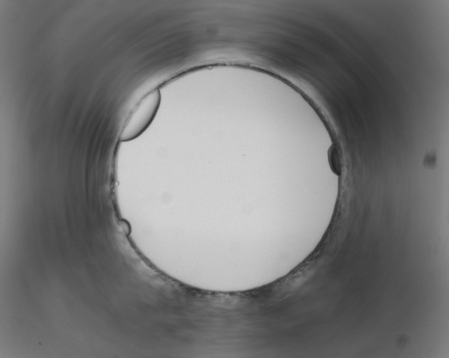X0000115540815200912181527