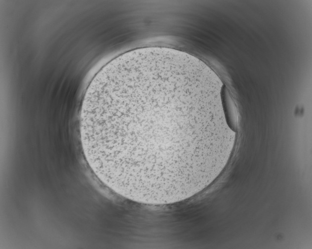 X0000115540816200912181527