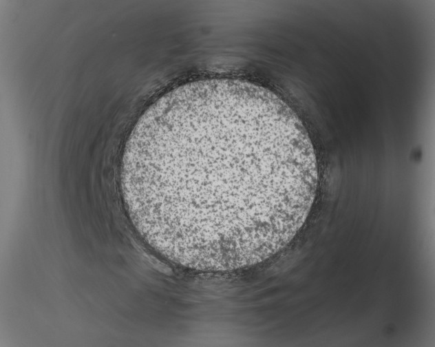 X0000115540817200912181527