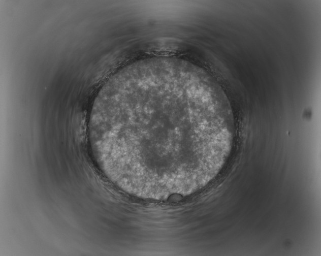 X0000115540818200912181527