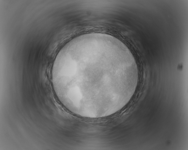 X0000115540820200912181527