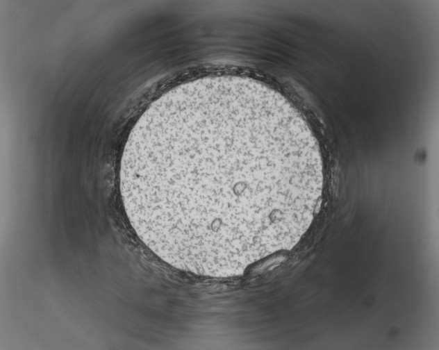 X0000115540821200912181527