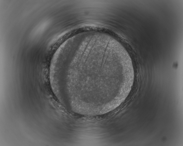 X0000115540822200912181527
