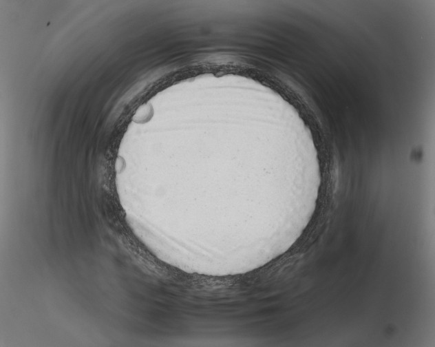 X0000115540823200912181527