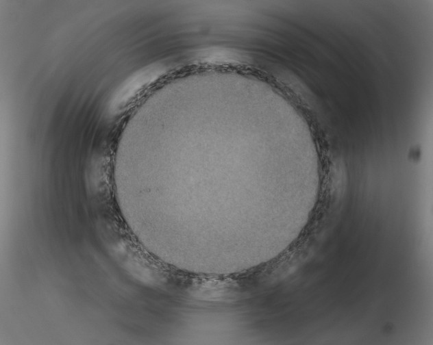 X0000115540824200912181527