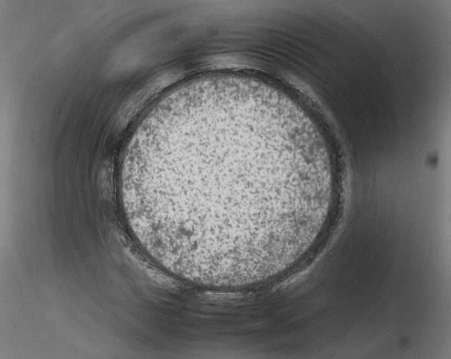 X0000115540825200912181527