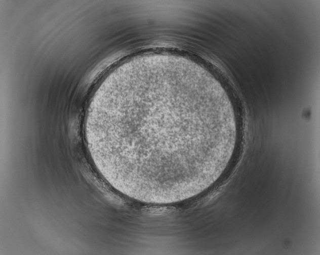 X0000115540826200912181527