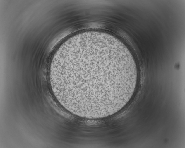 X0000115540827200912181527