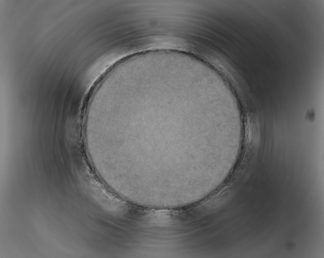 X0000115540828200912181527