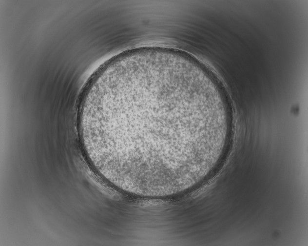 X0000115540830200912181527