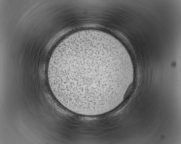 X0000115540831200912181527