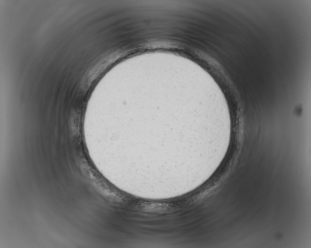X0000115540833200912181527
