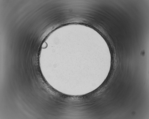 X0000115540834200912181527
