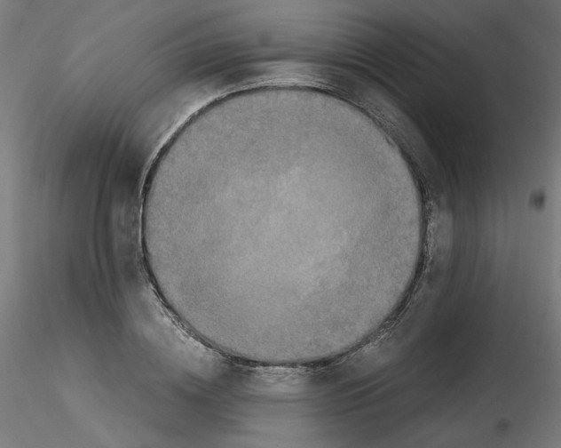 X0000115540836200912181527