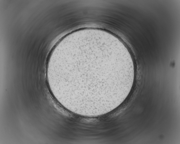 X0000115540837200912181527