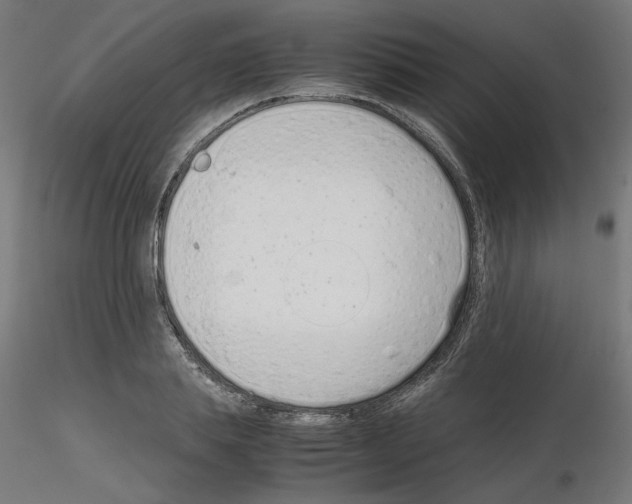 X0000115540839200912181527