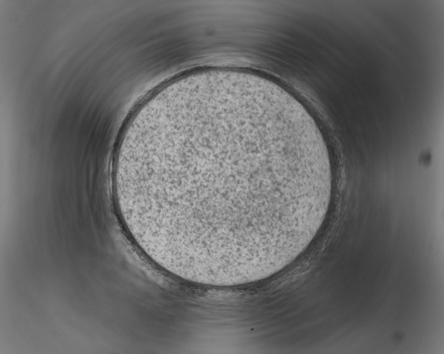 X0000115540840200912181527