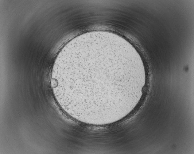 X0000115540841200912181527