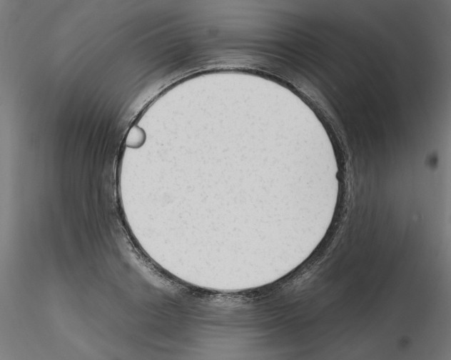 X0000115540842200912181527