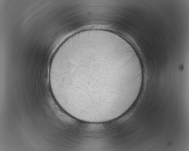 X0000115540844200912181527