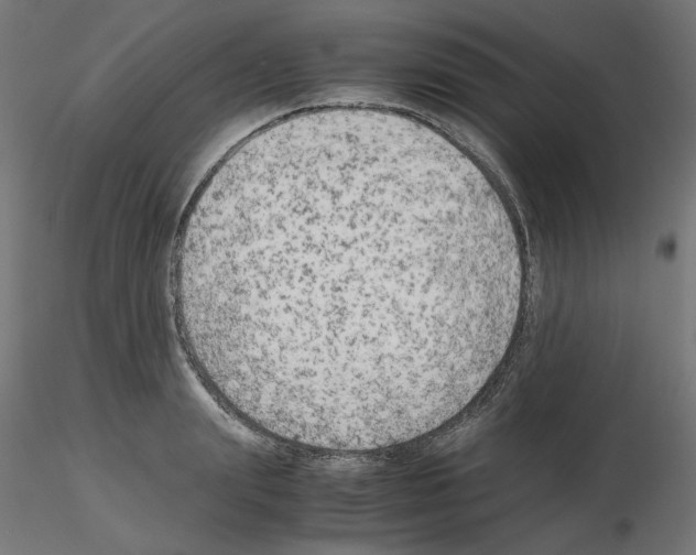 X0000115540847200912181527