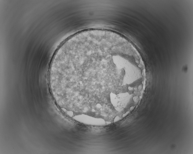 X0000115540848200912181527
