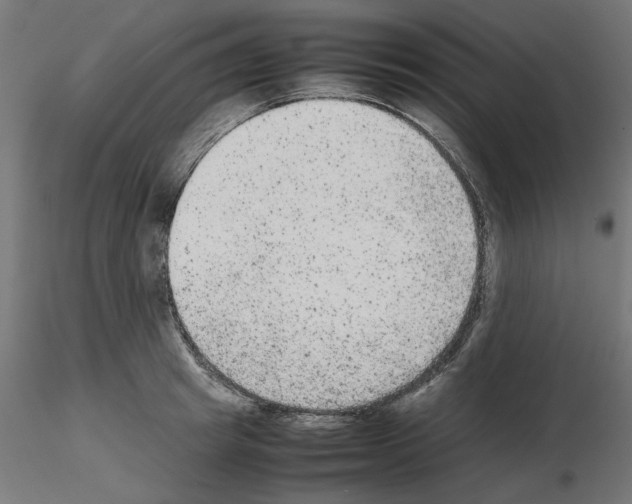 X0000115540849200912181527