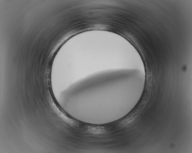 X0000115540851200912181527