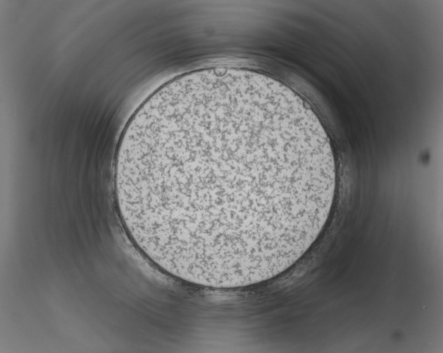 X0000115540852200912181527