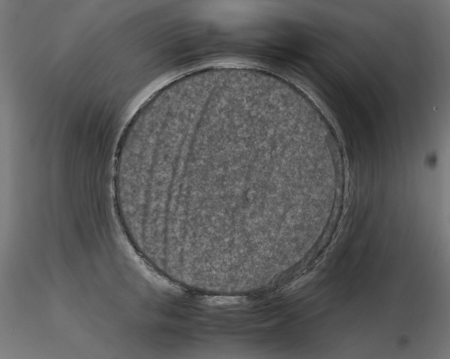 X0000115540853200912181527
