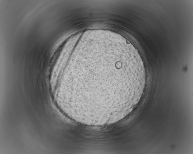 X0000115540855200912181527