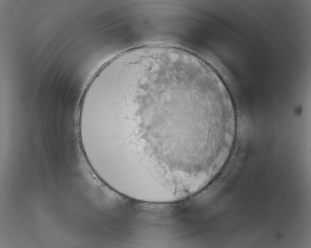 X0000115540856200912181527