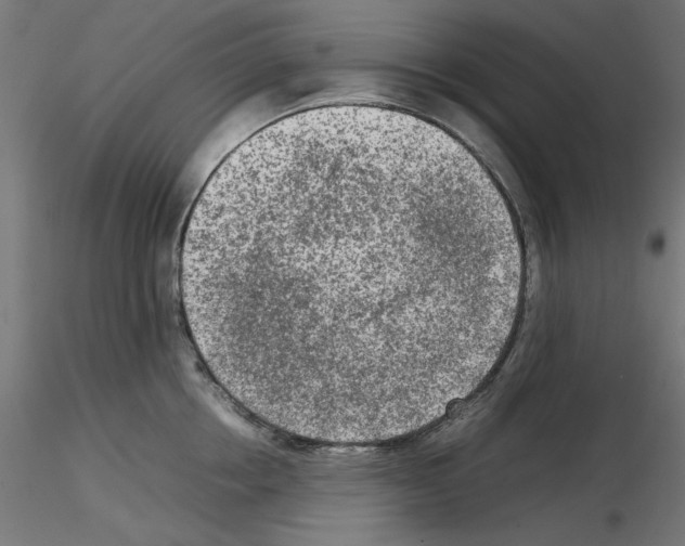 X0000115540858200912181527