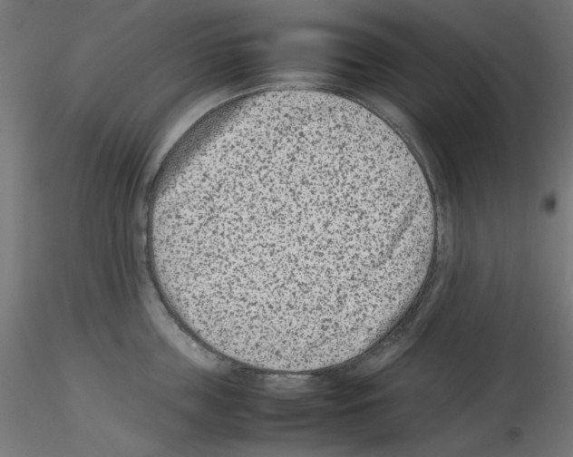 X0000115540859200912181527