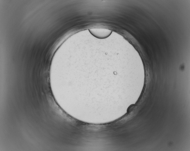 X0000115540860200912181527